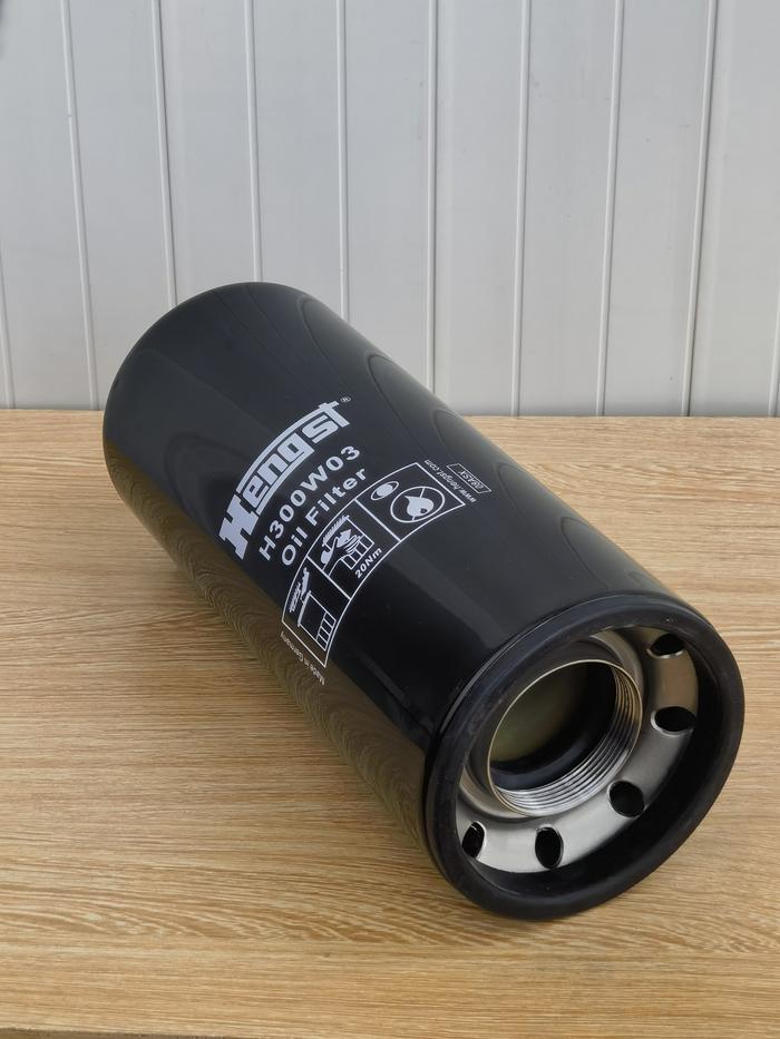 Hengst 亨斯特H300W03 (3)